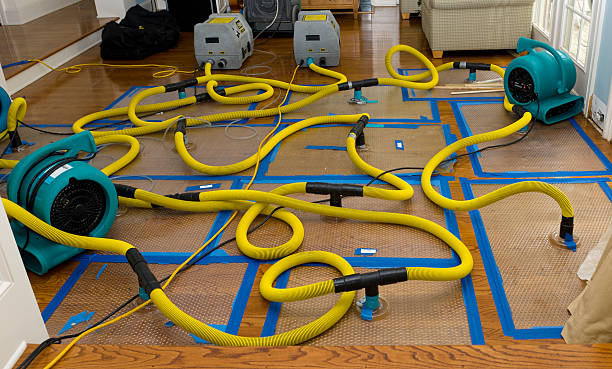 Professional Flood Damage Restoration technician working in American Fork, UT